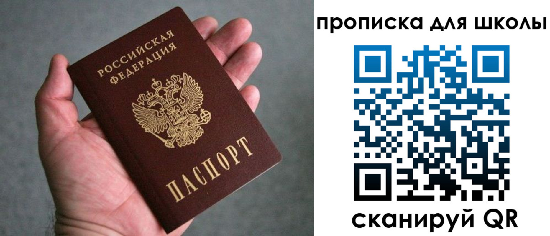 прописка штамп в Кингисеппе